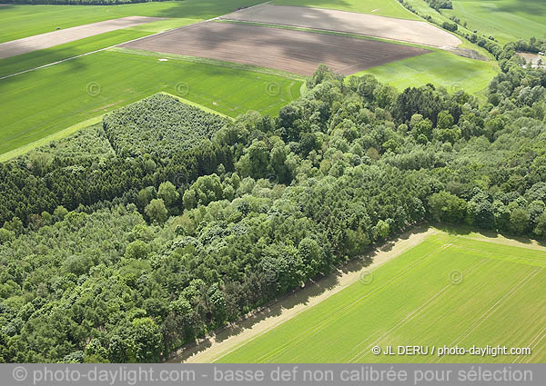 agriculture - Hesbaye